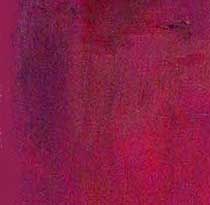 Les toiles prunes